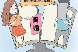 莘县债务清欠服务